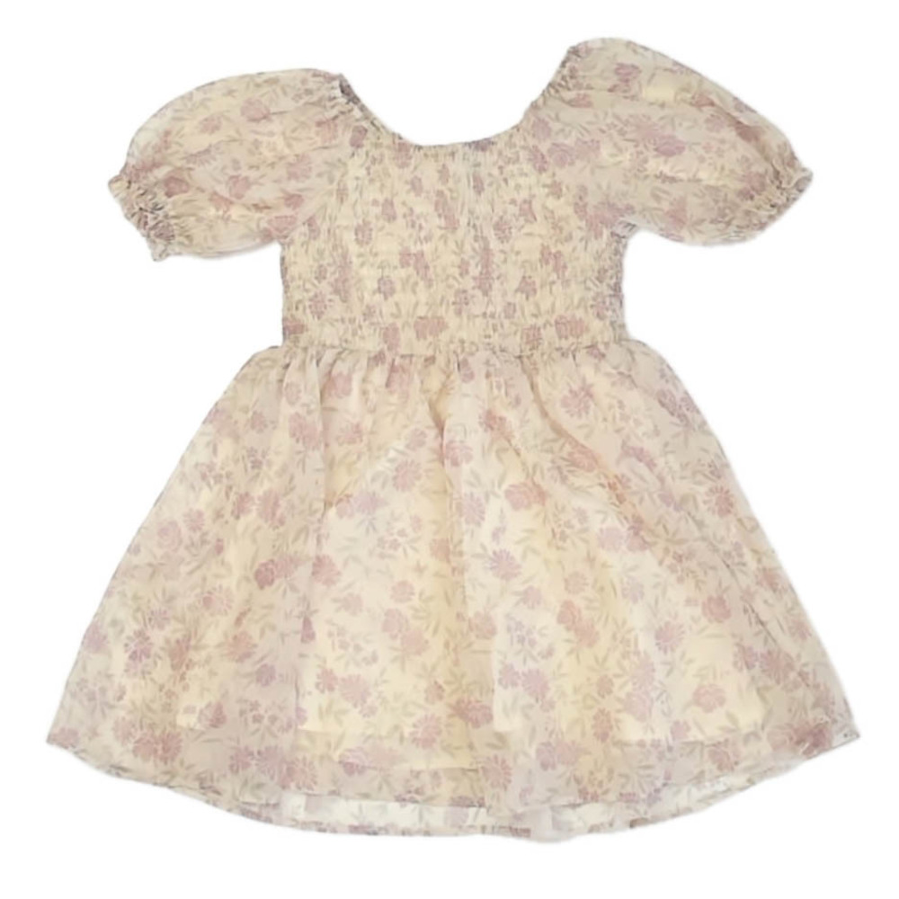 Noralee Girls Ivory Floral Dress size: 4T
